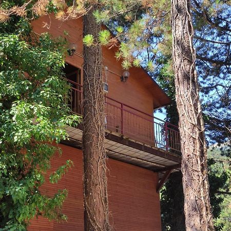 Hotel Toni Llogora Dukat Екстериор снимка