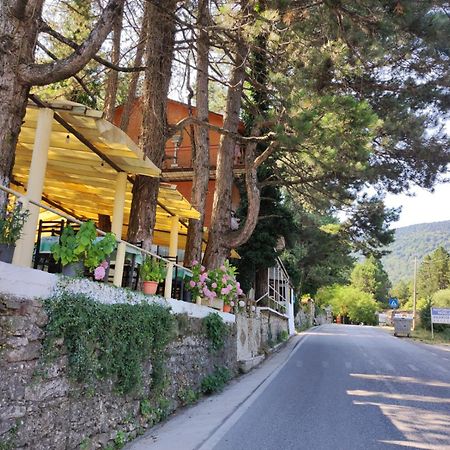 Hotel Toni Llogora Dukat Екстериор снимка